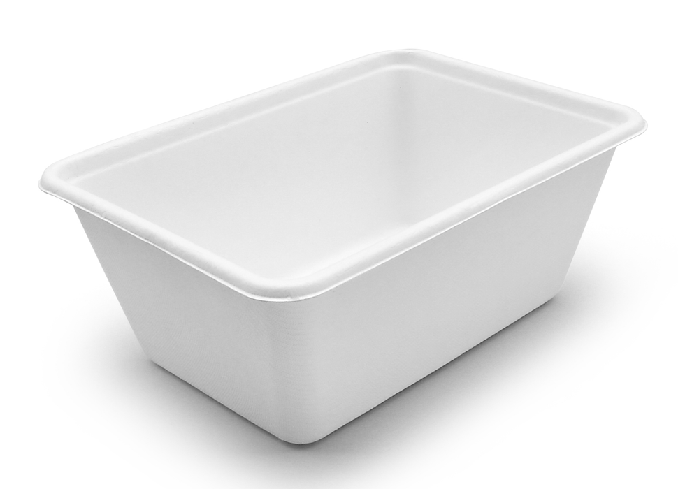 1 Compartment Lunchbox - Large - 1000ml