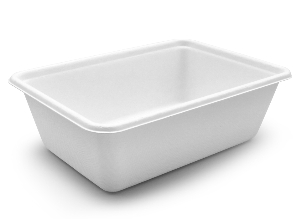 1 Compartment Lunchbox- Medium - 800ml