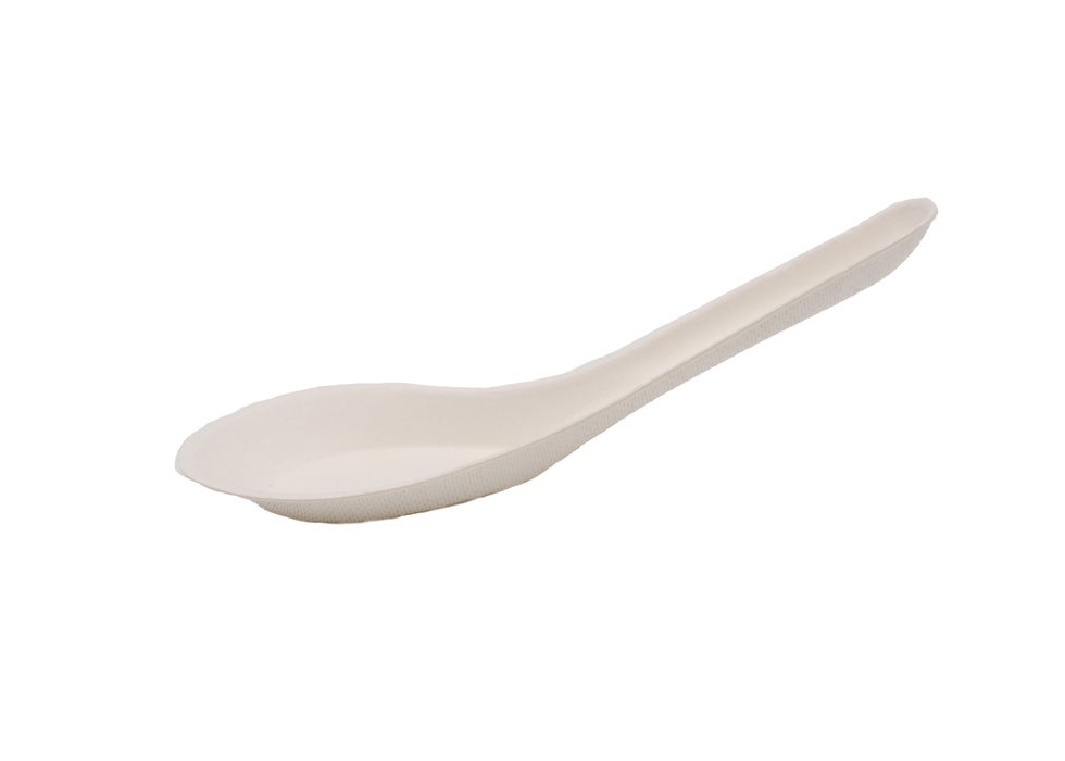 Chinese cusine spoon