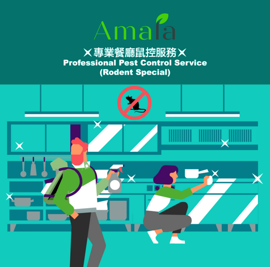 Amala 專業餐廳鼠控服務 Amala Professional Pest Control Service (Rodent Special)